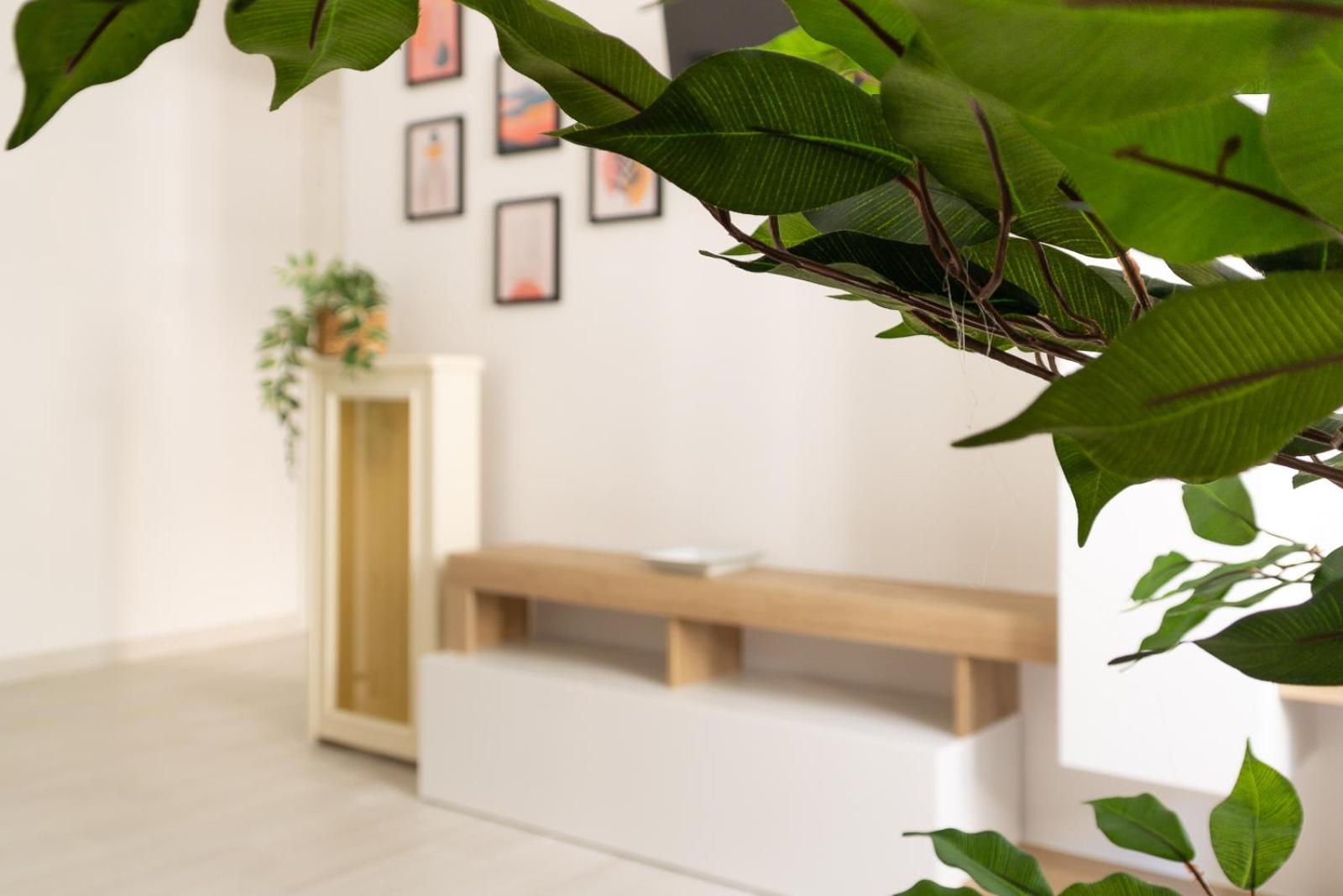 Nextovatican Apartment 罗马 外观 照片